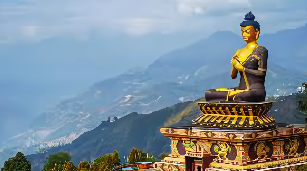 Domestic Tours (India)